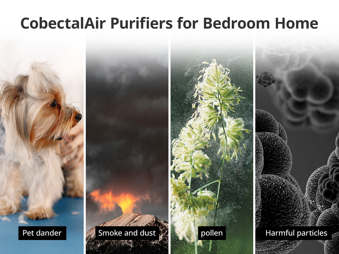 Best Air Purifier for Allergies and Dust – Discover Fetions Air Purifiers